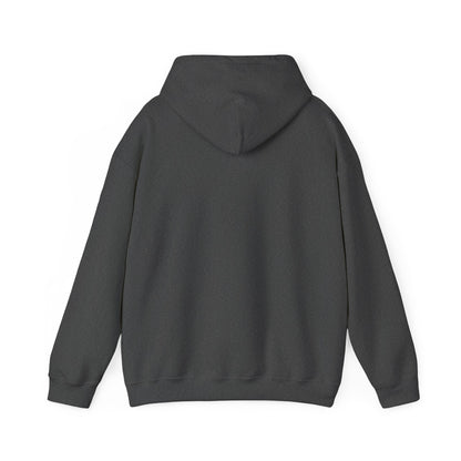 Minimal Dinosaur Trio Hoodie