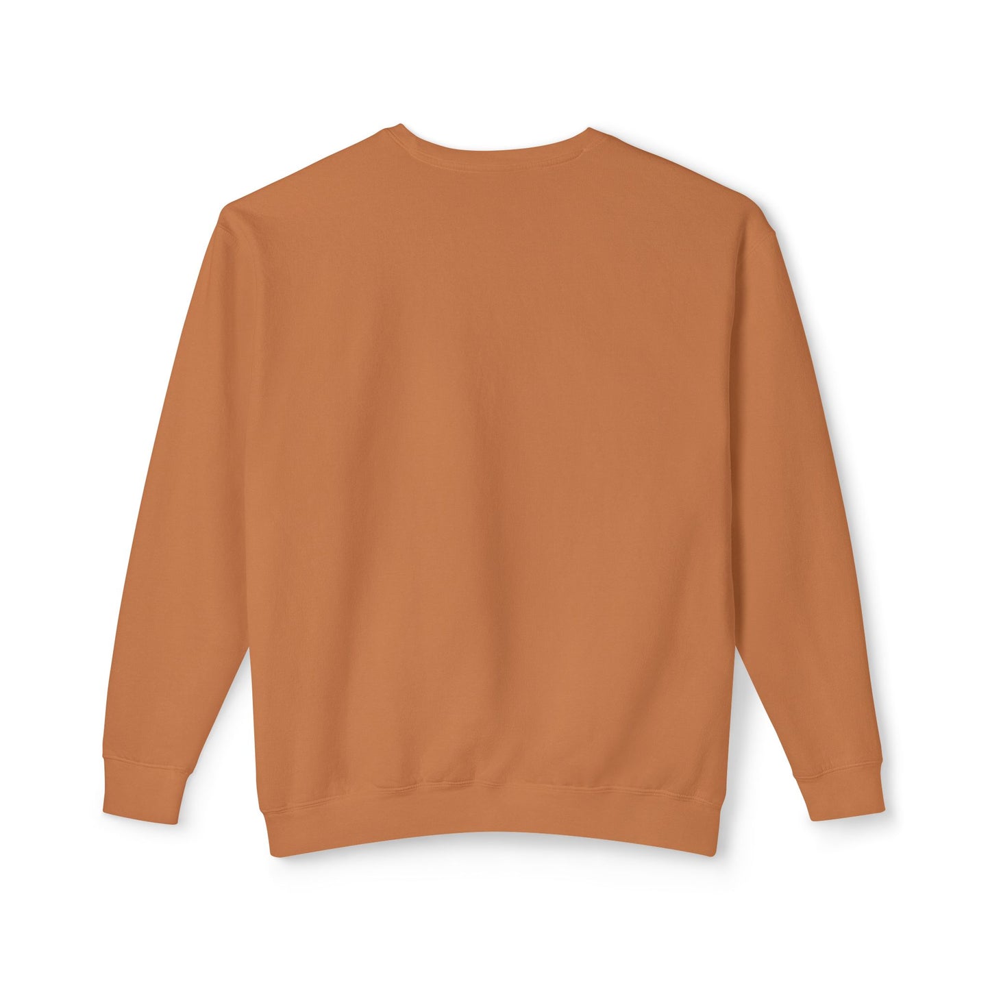 Don't Be A Dick Sweatshirt