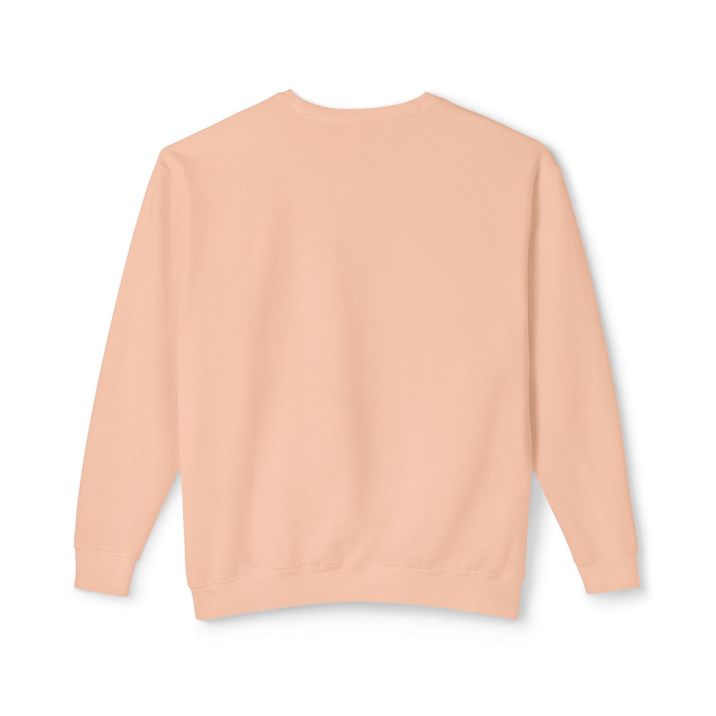 Don't Be A Dick Sweatshirt