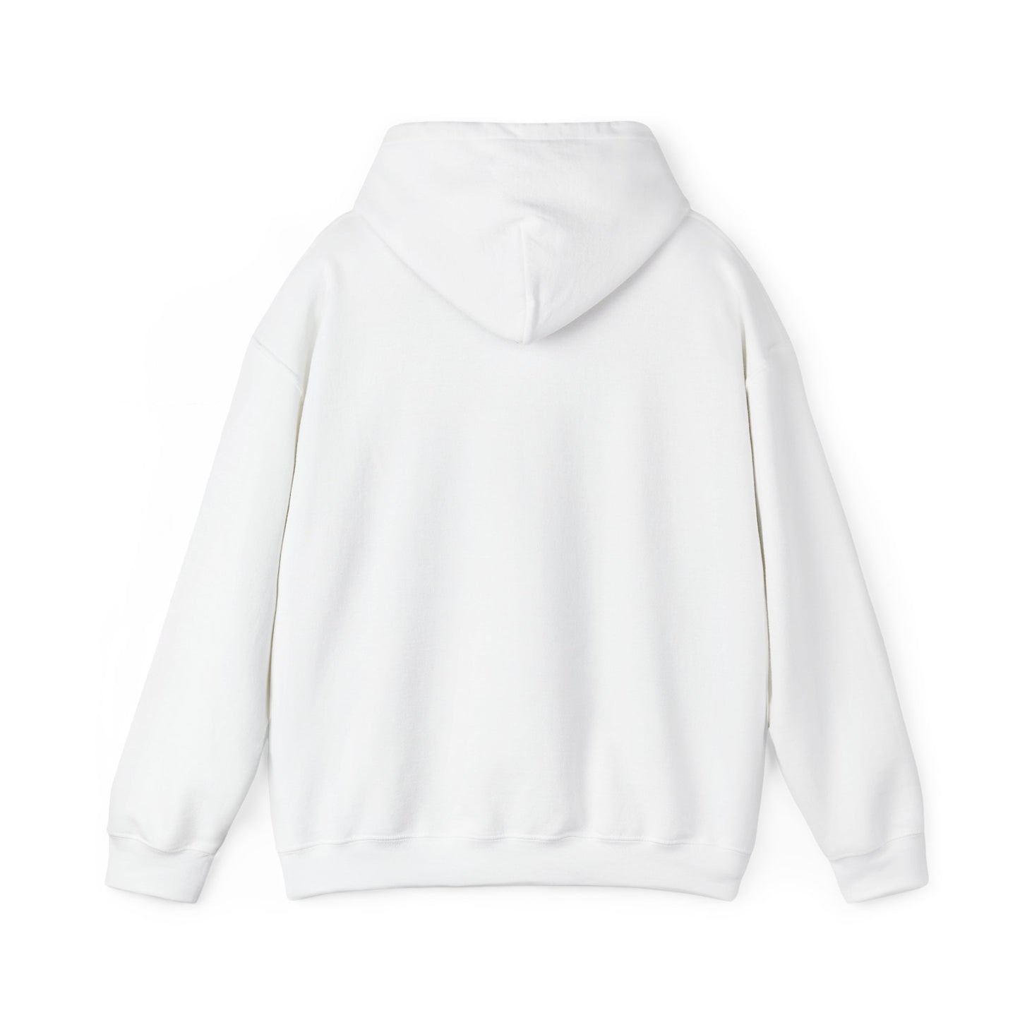 Minimal Dinosaur Trio Hoodie