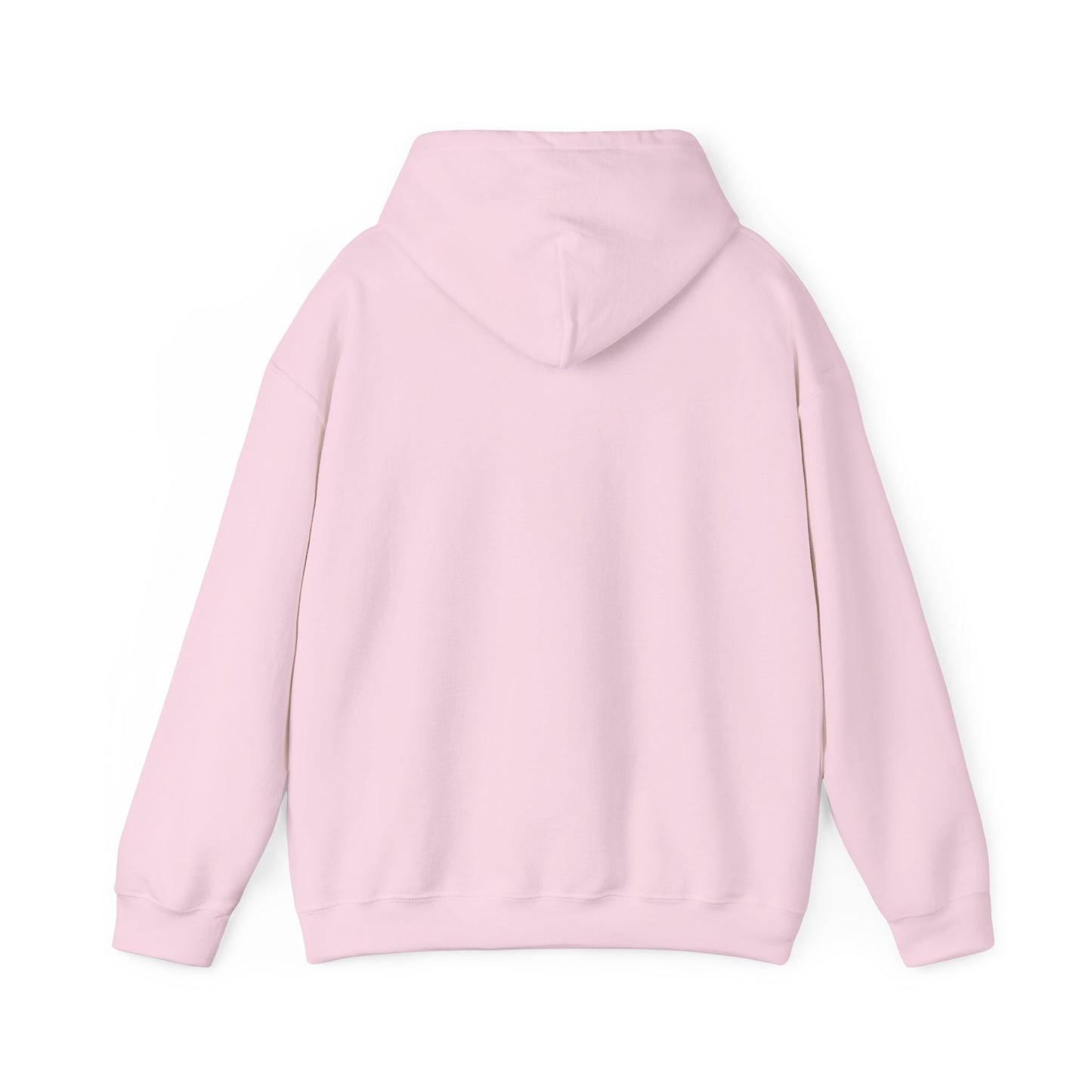 Minimal Dinosaur Trio Hoodie